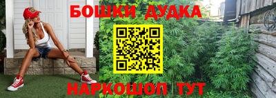 мдпв Коломна