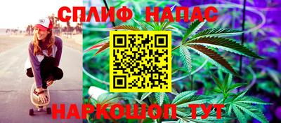 гашик Пыть-Ях