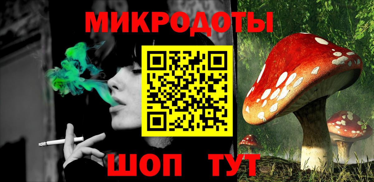 Псилоцибиновые грибы прущие грибы Санкт-Петербург