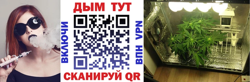 hydra ССЫЛКА  купить наркоту  Санкт-Петербург  Бошки марихуана индика 